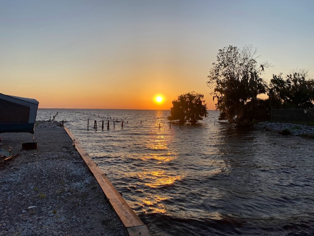 Pine Island RV & Marina | 1600 Lake George Rd, Seville, FL 32190, USA | Phone: (386) 749-2818