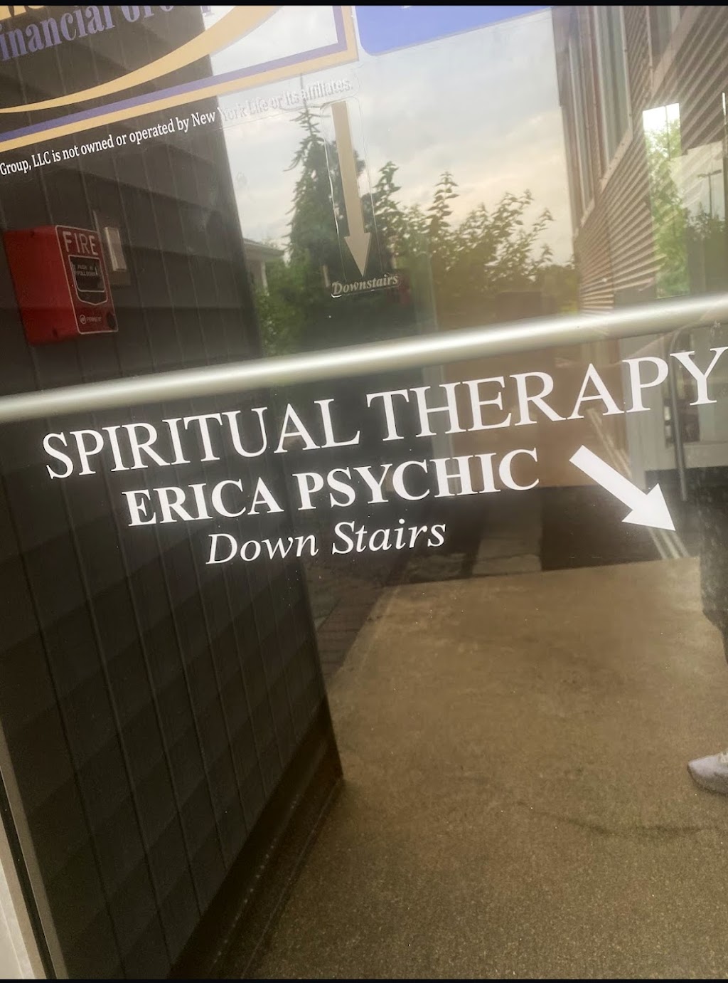 Psychic Erica Spiritual Therapy | 339 Princeton Hightstown Rd building b, East Windsor, NJ 08512, USA | Phone: (732) 307-5105