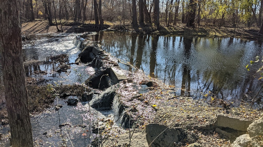 Black Swamp Nature Center | 753 Fairground Dr, Paulding, OH 45879, USA | Phone: (419) 399-4771