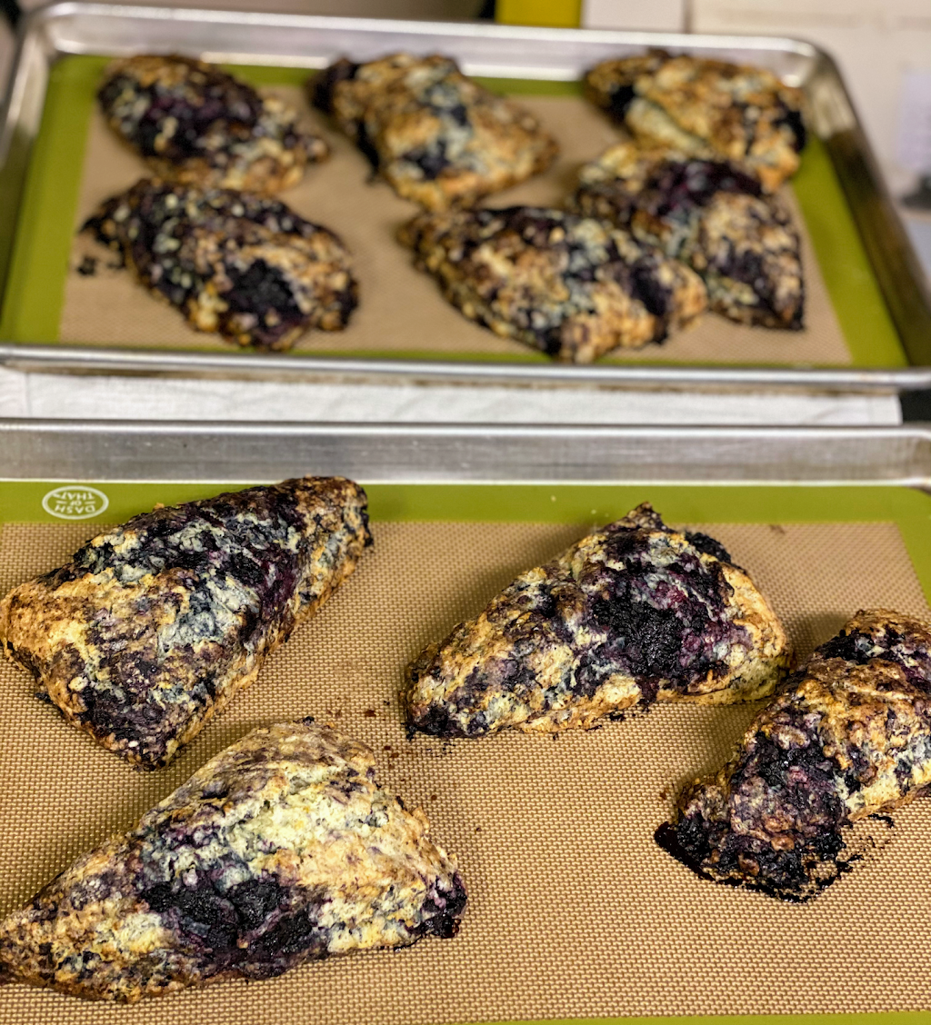 Ken & Junes Hazelnuts Melcher Family Farms | 8046 McKay Rd NE, St Paul, OR 97137, USA | Phone: (503) 633-2191