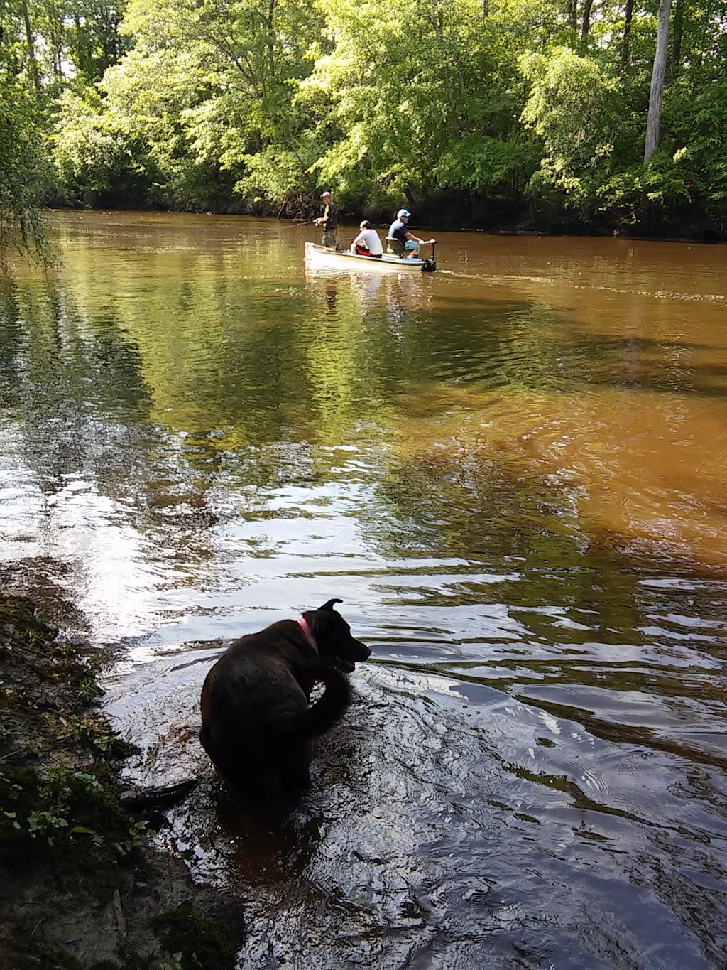 Blackwater Ecological Preserve | Thomas Woods Trail, Zuni, VA 23898, USA | Phone: (757) 683-3597