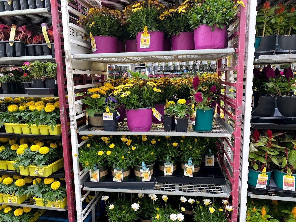 Lowes Garden Center | 9490 W Broad St, Richmond, VA 23294, USA | Phone: (804) 270-9277