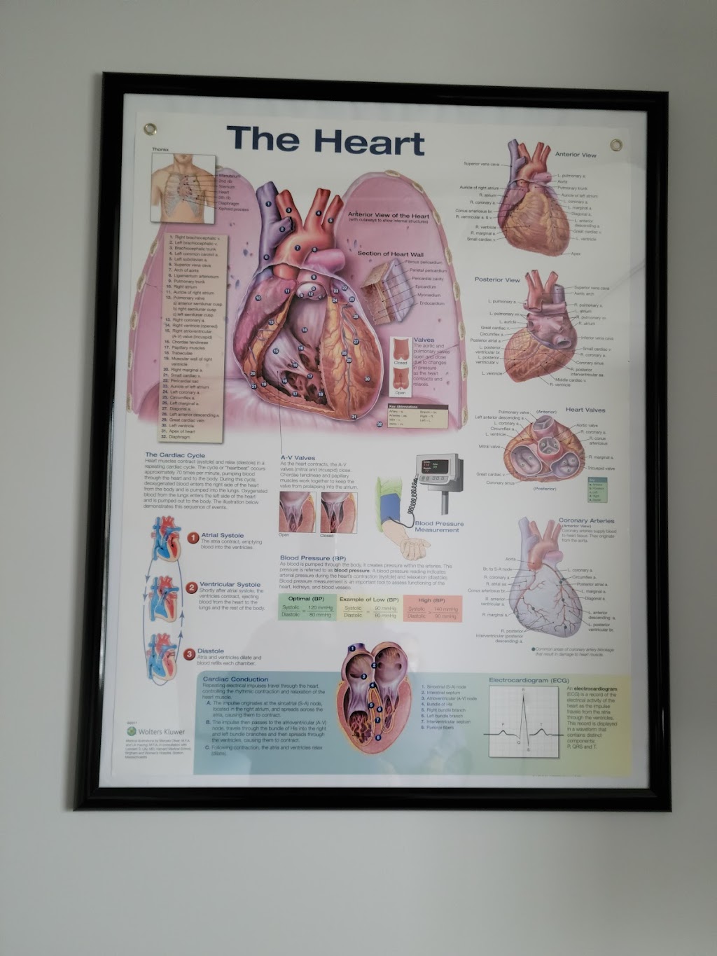 Advanced Heart and Vascular of Central Jersey | The Orchards at Colts Neck, 340 NJ-34 Suite 201, Colts Neck, NJ 07722, USA | Phone: (732) 487-3636