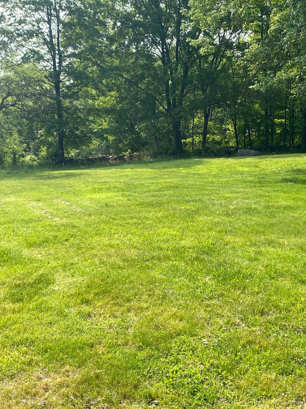 Mike & Mos Kingdom Lawn and Home Improvements LLC | 680 NY-211 3B #330, Middletown, NY 10941, USA | Phone: (845) 500-0091