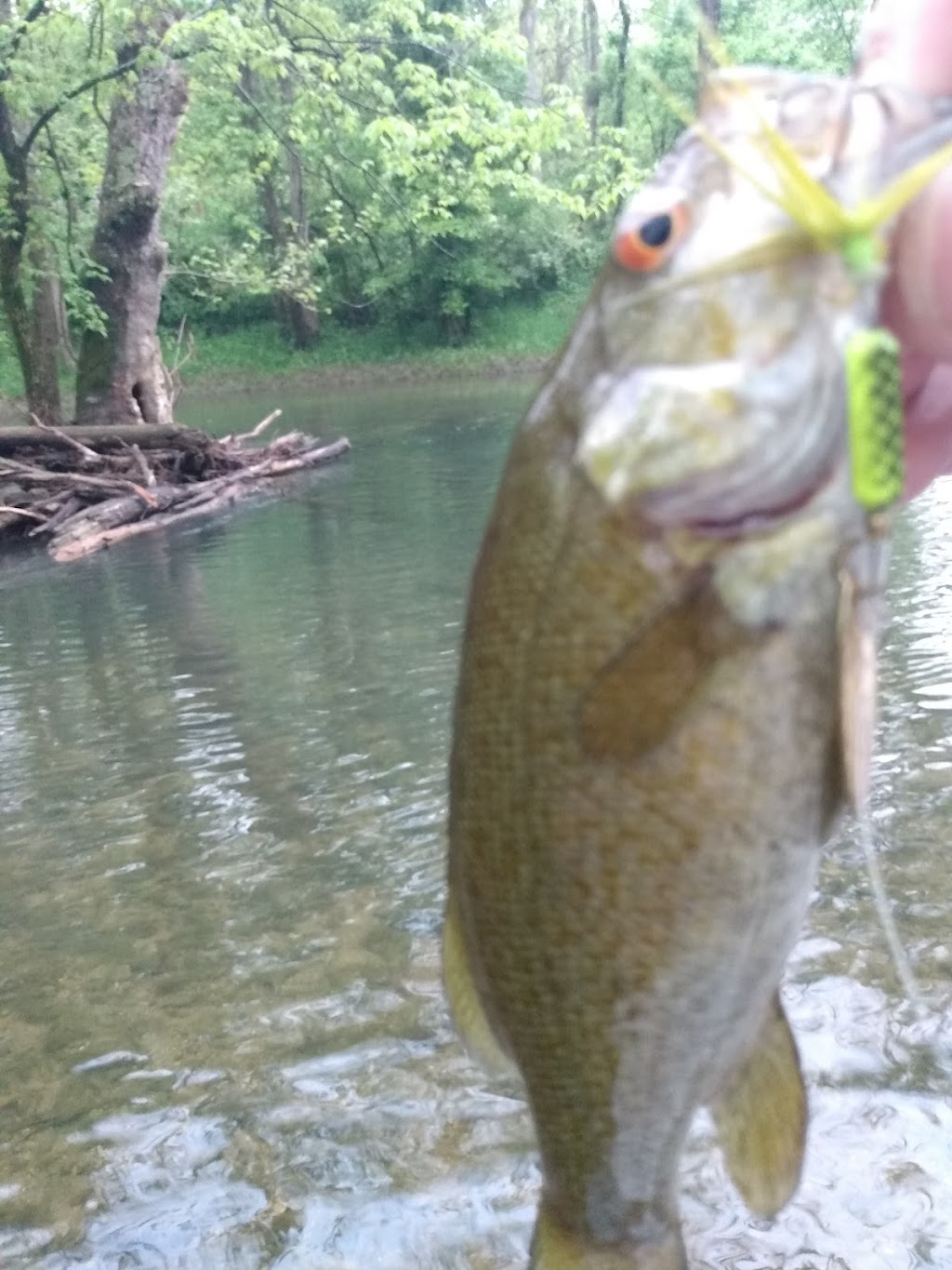 Paint Creek Fishing Access | Wayne Township, OH 43160, USA | Phone: (614) 644-3925