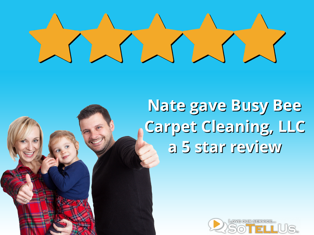 Busy Bee Carpet Cleaning Dallas | 85 Palisades Dr, Dallas, GA 30157, USA | Phone: (404) 625-5019