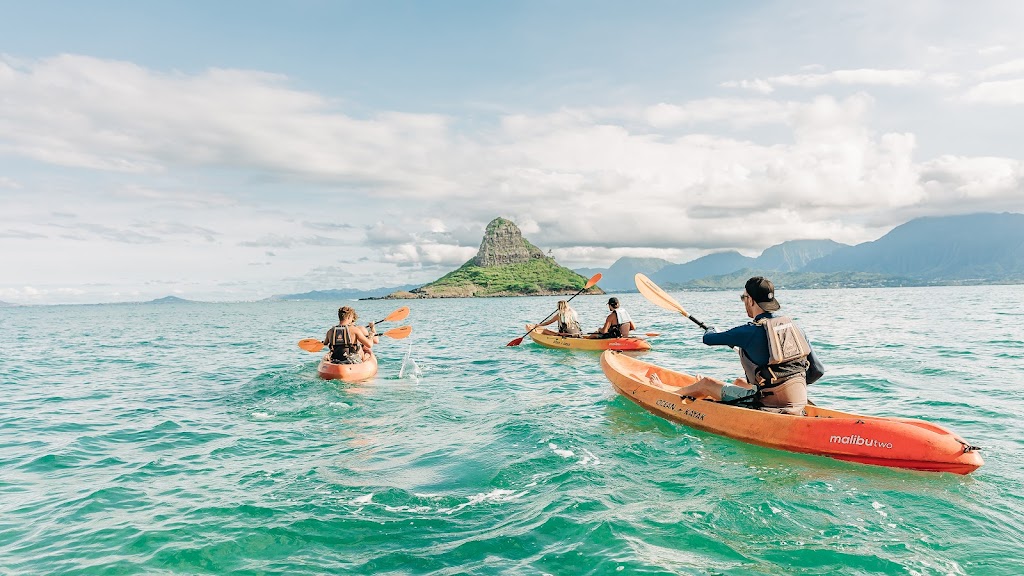 Active Oahu Tours | Kamehameha Hwy + Kualoa, Regional Park, HI 96744, USA | Phone: (808) 498-1894