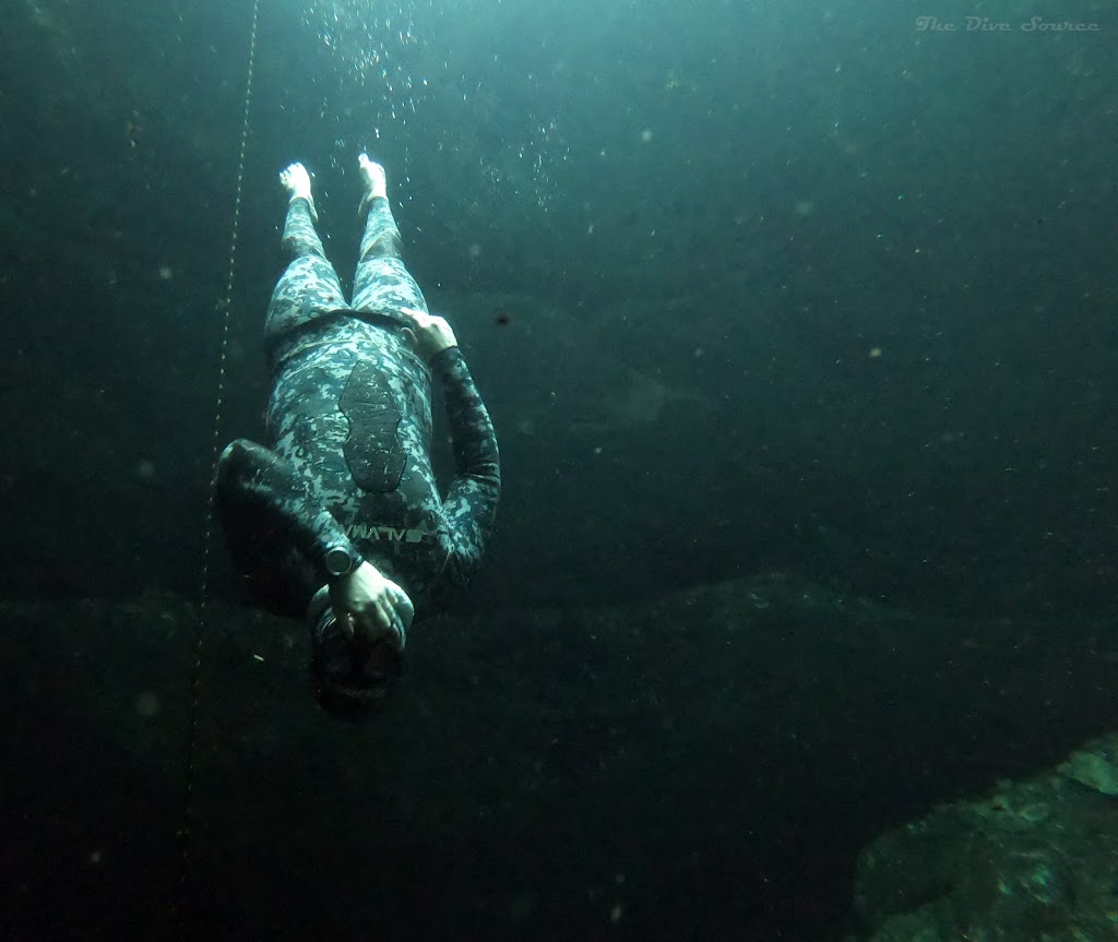 Tidal freediving | 4428 Flatbush Ave, Sarasota, FL 34233, USA | Phone: (941) 536-6995