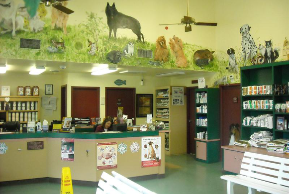 Freed Veterinary Hospital | 1250 N King St, Hampton, VA 23669 | Phone: (757) 723-6049