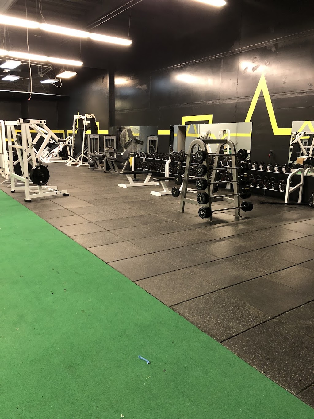 A1Fitness | 41583 Albrae St, Fremont, CA 94538, USA | Phone: (510) 279-5147