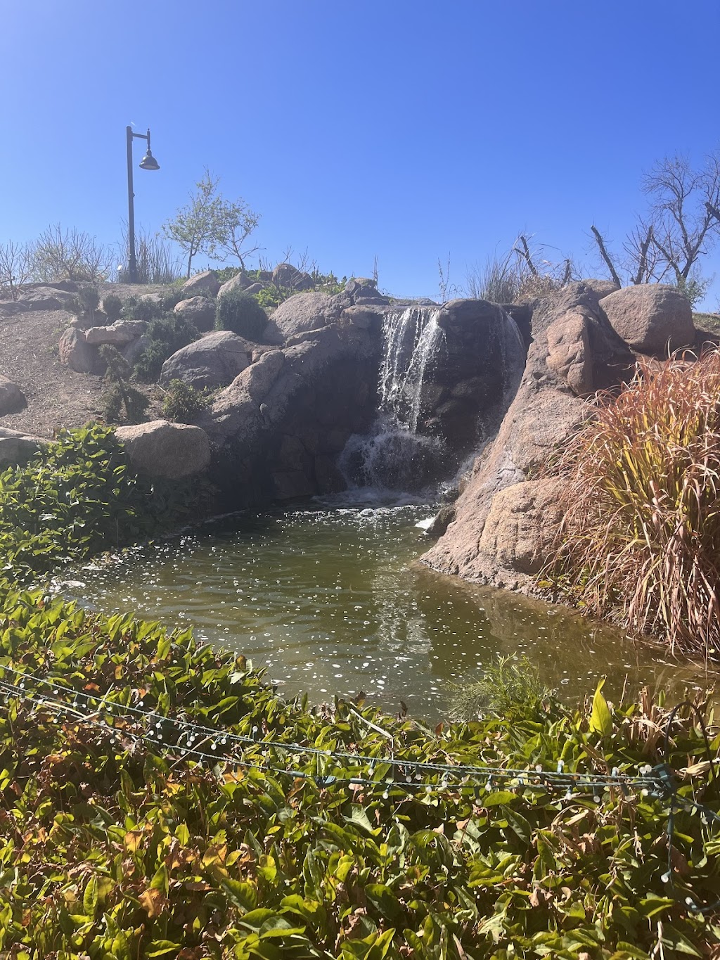 Queen Creek Botanical Gardens | 25002 S 206th St, Queen Creek, AZ 85142, USA | Phone: (480) 704-4100