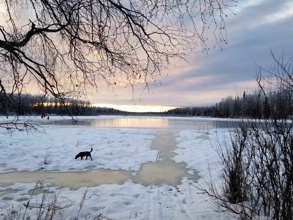 Deshka Landing Charters & Lodge | 11745 N Recreation St, Willow, AK 99688, USA | Phone: (907) 495-5873