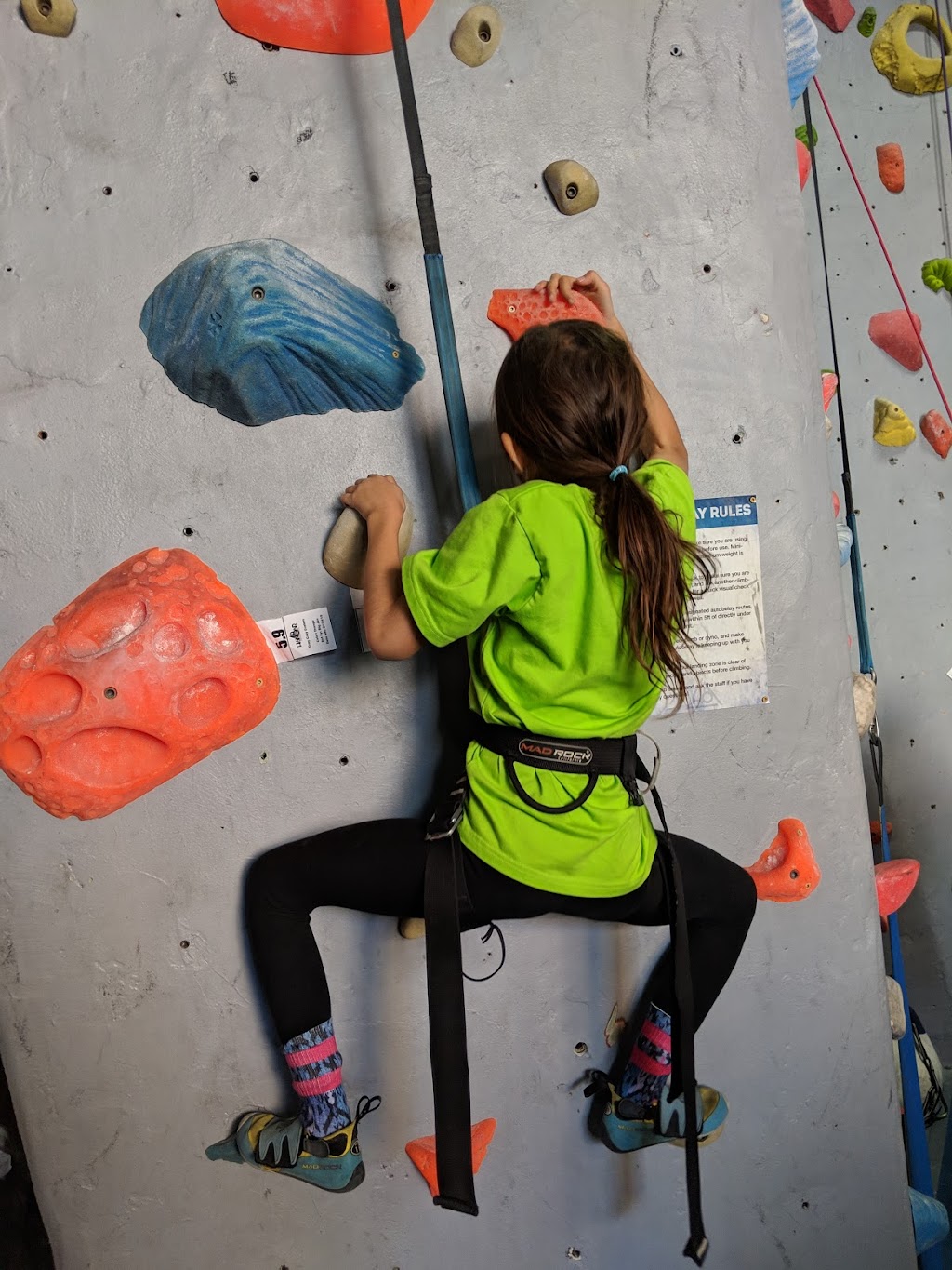 Hangar 18 Indoor Climbing Gym - Arcadia | 305 N Santa Anita Ave, Arcadia, CA 91006, USA | Phone: (626) 538-4081