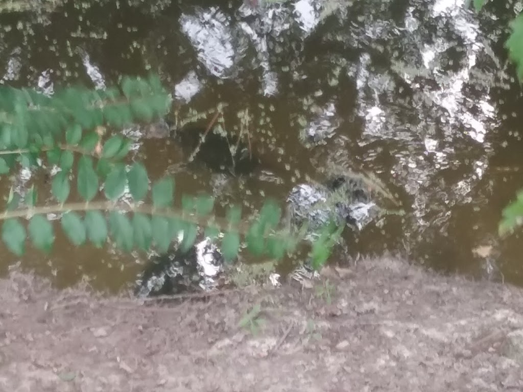 Home Run Signs | 5469 Albright Dr, Virginia Beach, VA 23464, USA | Phone: (757) 479-4494