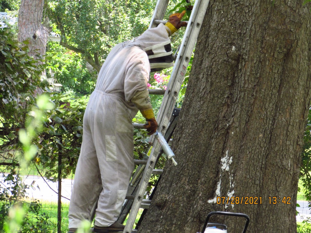 Queen B Apiaries | 29802 Lake Commons Way, Huffman, TX 77336, USA | Phone: (832) 708-7772