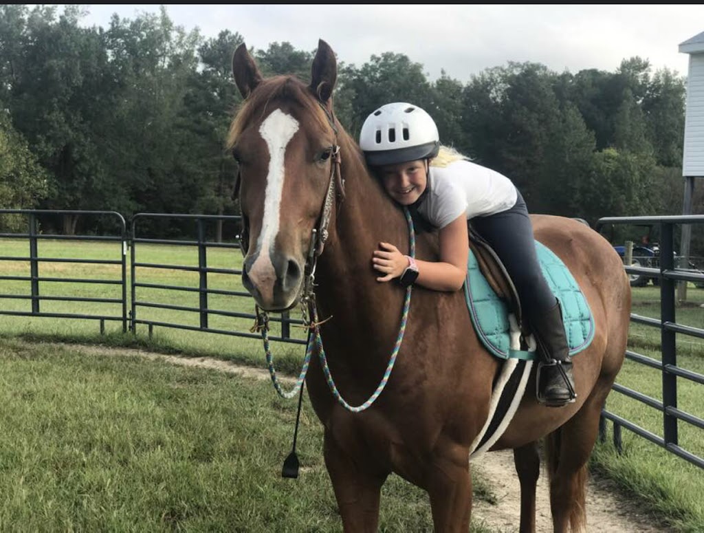 Bar Creek Farms Quarter Horses and Paints | 11920 Bar Creek Ln, Ford, VA 23850 | Phone: (804) 712-2497