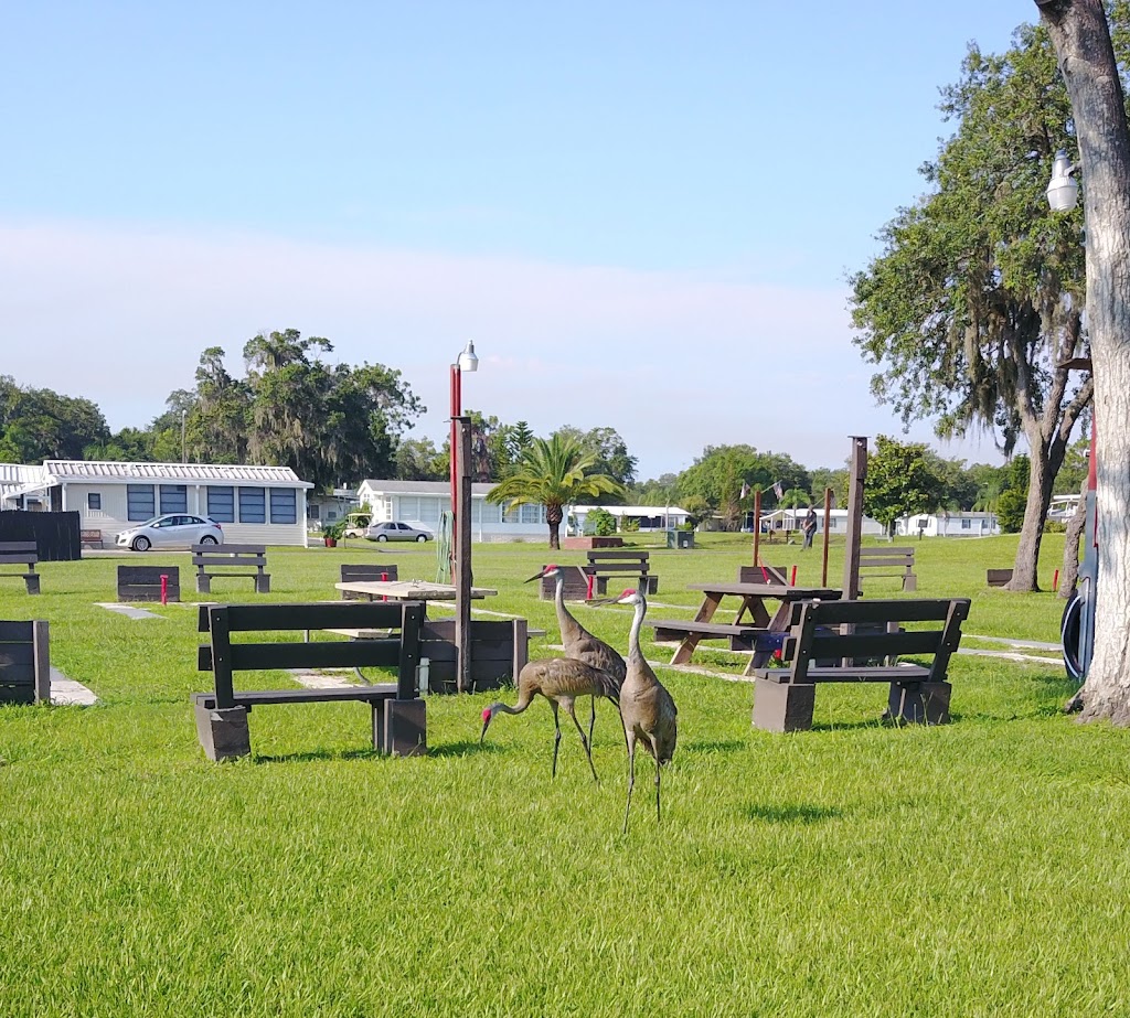 Rice Creek RV Resort | 10719 Rice Creek Dr, Riverview, FL 33578, USA | Phone: (813) 677-6640