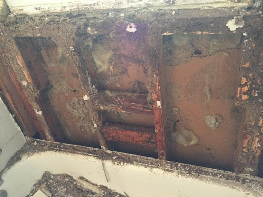 Midwest Termite & Pest Control | 5133 Pensacola Blvd, Dayton, OH 45439, USA | Phone: (937) 469-6128