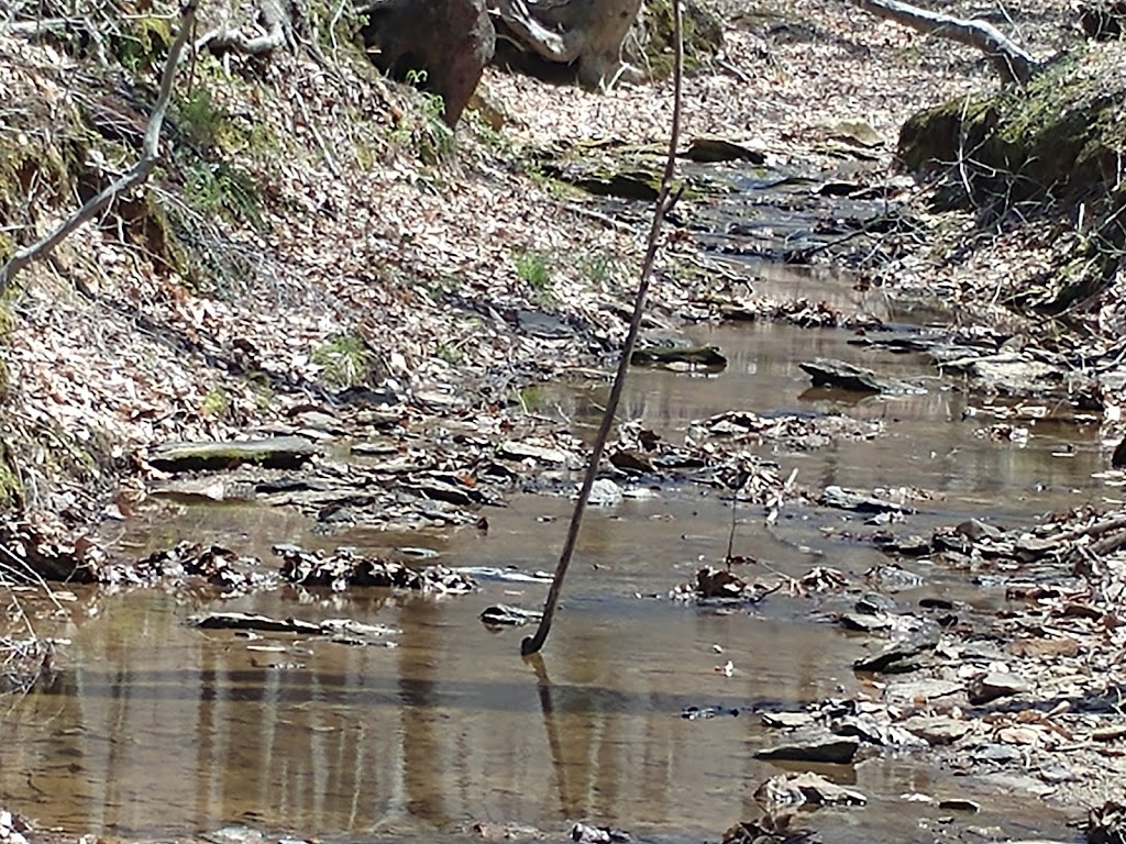 Knight Brown Nature Preserve | 221 Waterfield Ln, Stokesdale, NC 27357, USA | Phone: (336) 691-0088