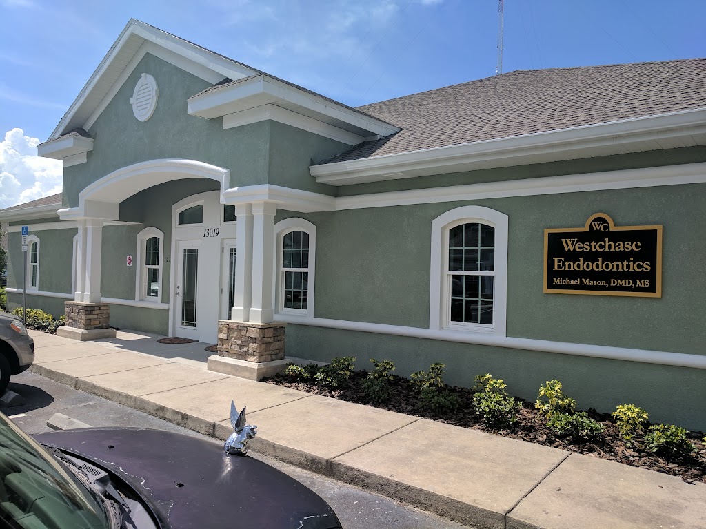 Westchase Endodontics | 13019 W Linebaugh Ave #102, Westchase, FL 33626, USA | Phone: (813) 814-7649