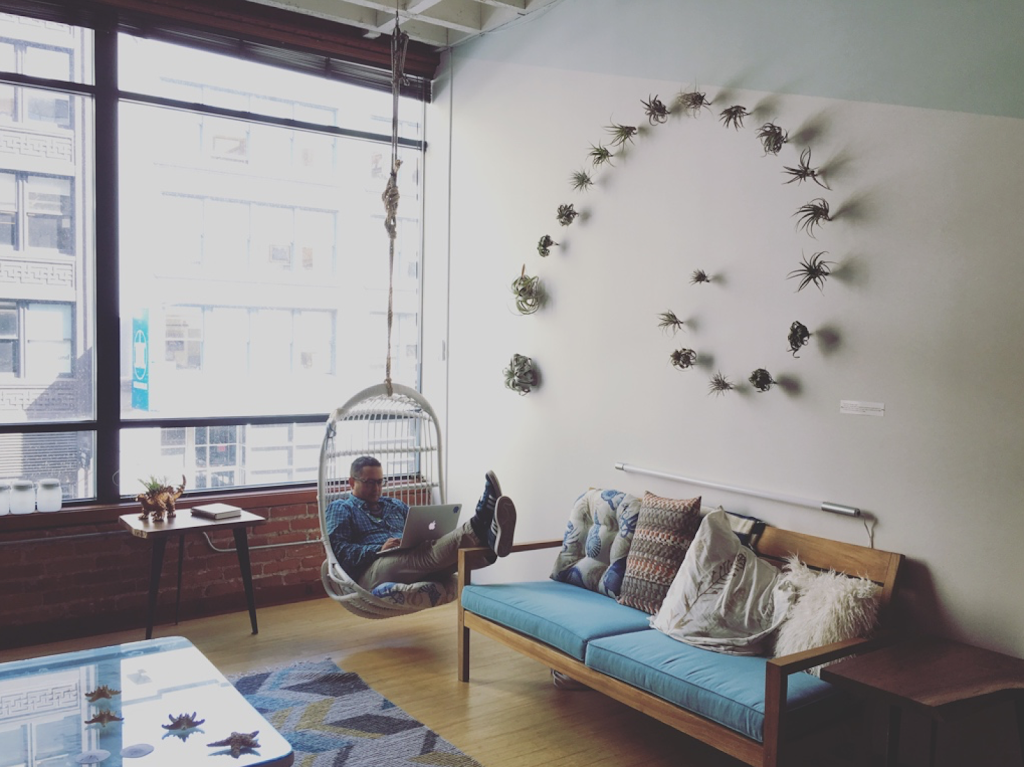 Fractal Flora | 1461 Park Ave, San Jose, CA 95126, USA | Phone: (650) 314-9853