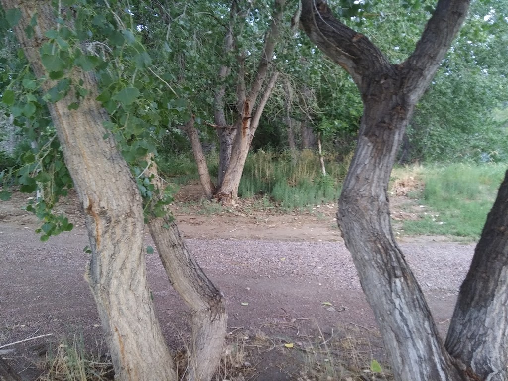 Historic Greenwood Cemetery | PO Box 1460, Cañon City, CO 81215 | Phone: (719) 269-9024