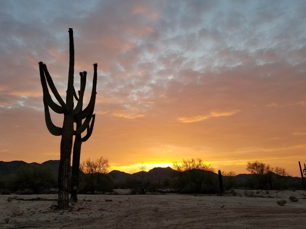 Sonoran Desert National Monument | Maricopa, AZ 85239 | Phone: (623) 580-5500