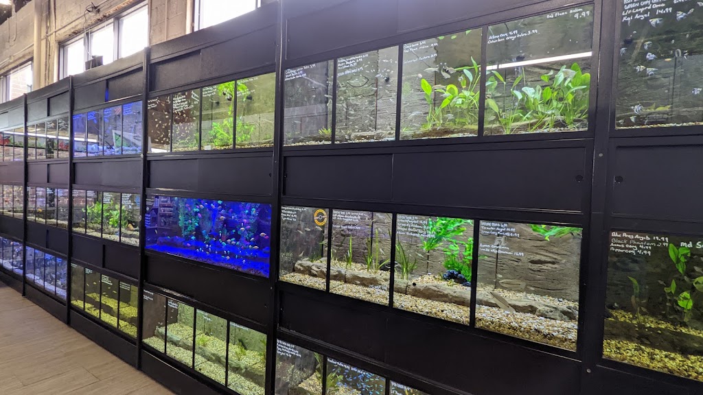 Aquariums Unlimited LLC | 797 B Chimney Hill Shopping Ctr, Virginia Beach, VA 23452, USA | Phone: (757) 280-5781