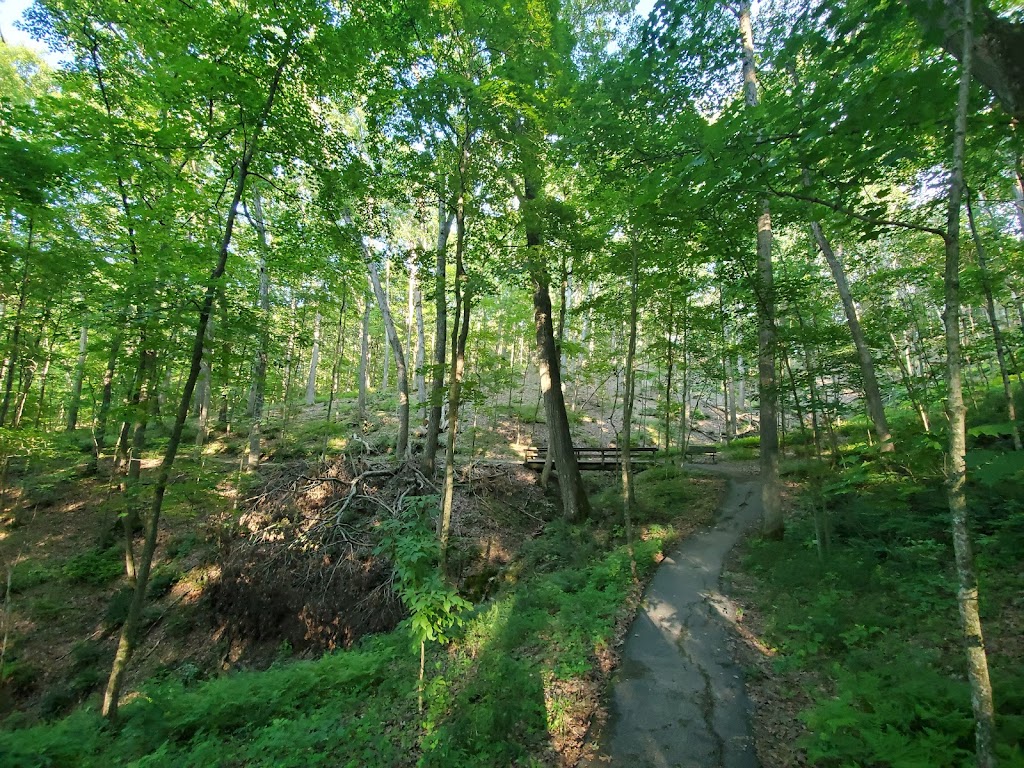 Trail Among the Trees trailhead | 2751 Glencoe Rd, Glencoe, MO 63038, USA | Phone: (636) 441-4554