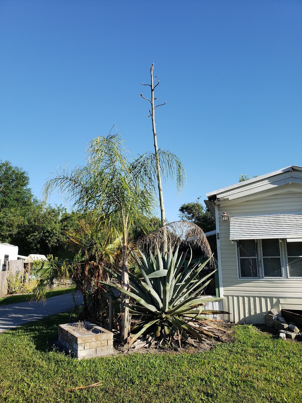 Lake Bambi Mobile Home & RV Park 6105 Land O' Lakes Blvd, Land O