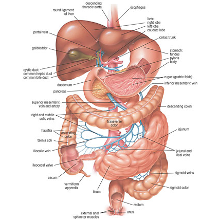 Rahman Pervaiz MD | 1 Medical Pkwy #103, Farmers Branch, TX 75234, USA | Phone: (972) 681-9800