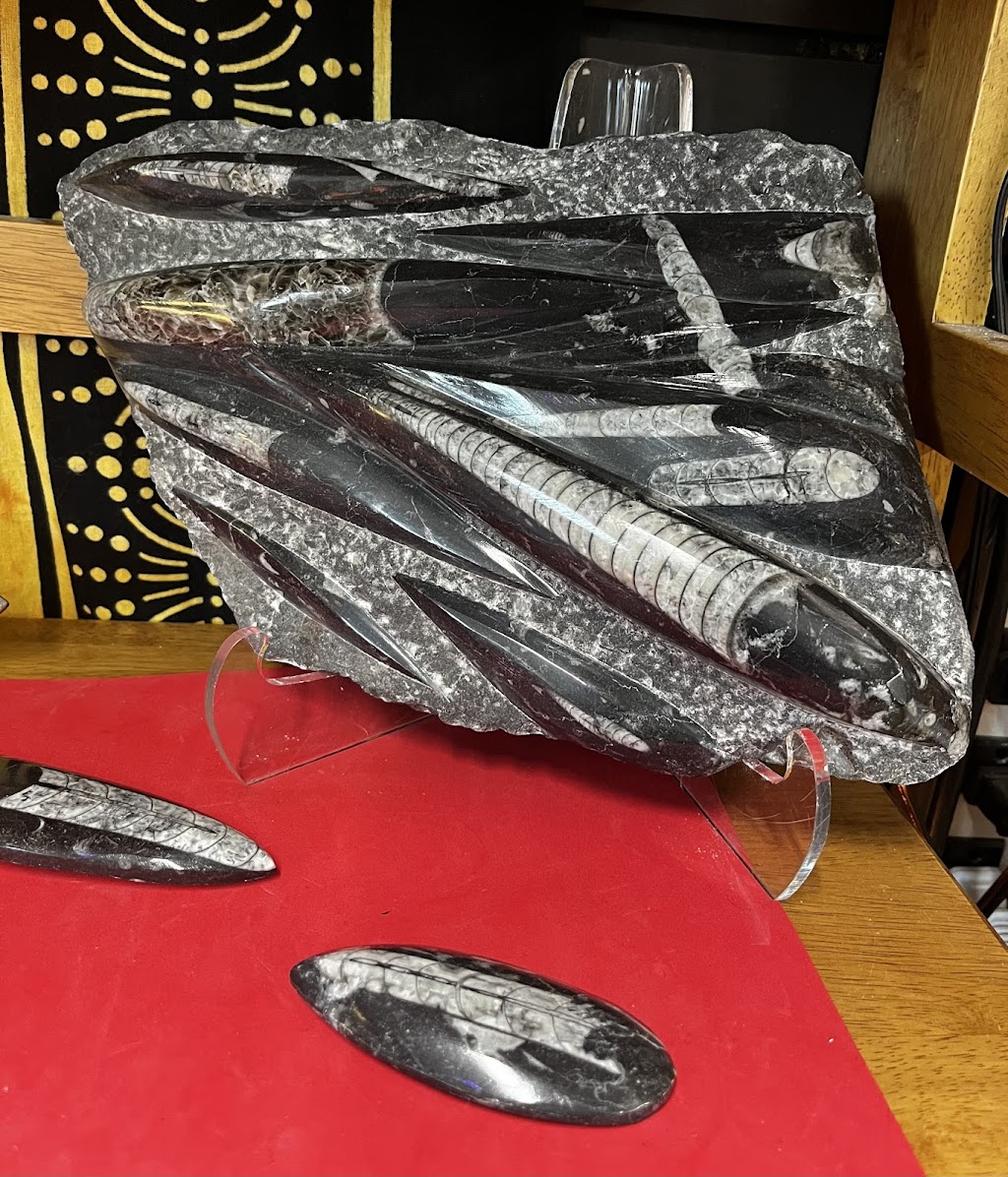 Apex Herbals, LLC | 4256 Belden Village Mall Circle Northwest Suite C8, Belden Village St NW Mall, Canton, OH 44718, USA | Phone: (330) 312-8613