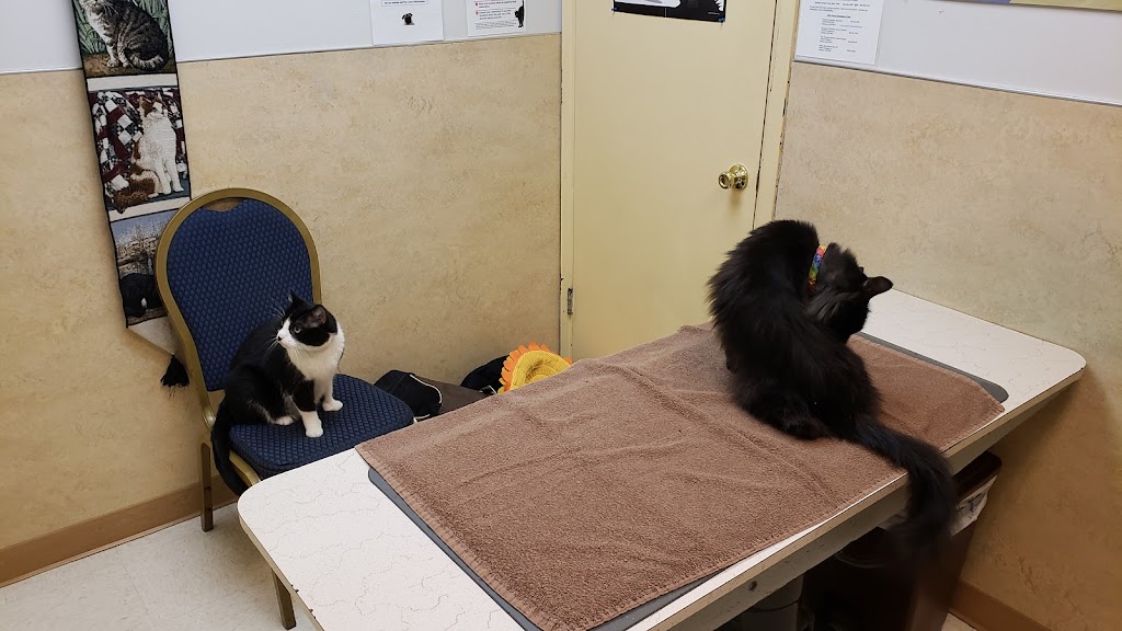 Gateway Veterinary Hospital | 11222 NE Halsey St, Portland, OR 97220, USA | Phone: (503) 253-2142