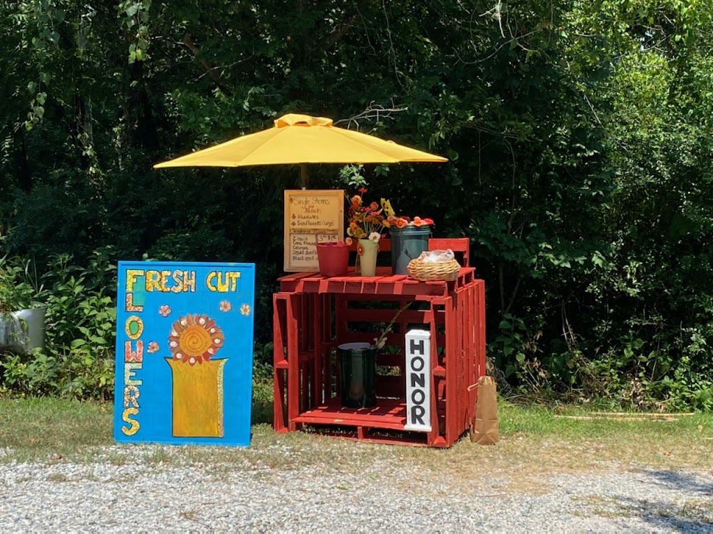 The Laughing Crow Flower Farm | 2710 River Rd W, Maidens, VA 23102 | Phone: (334) 332-2167