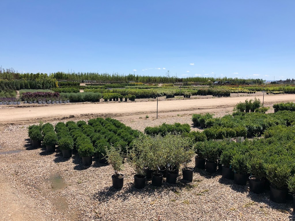 Jayker Re-Wholesale Nursery | 6485 Joplin Rd, Nampa, ID 83687 | Phone: (208) 887-1790