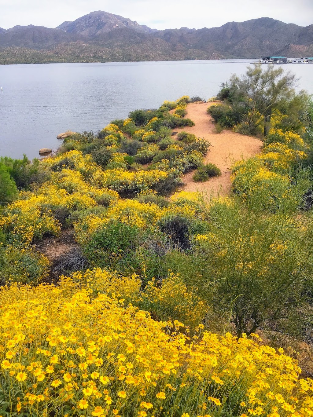 Bartlett Lake Marina | 20808 E Bartlett Dam Rd, Rio Verde, AZ 85263, USA | Phone: (480) 221-0503