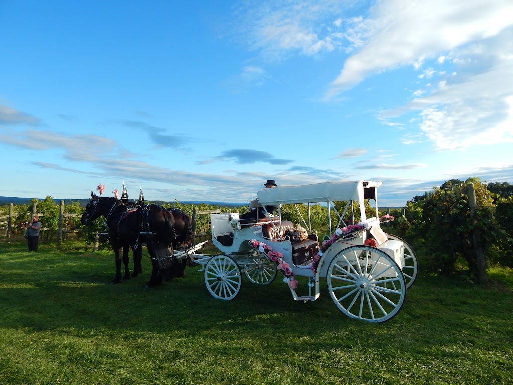 Horsing Round Carriage Service | 144 Dunbar Ohiopyle Rd, Dunbar, PA 15431, USA | Phone: (724) 277-0974