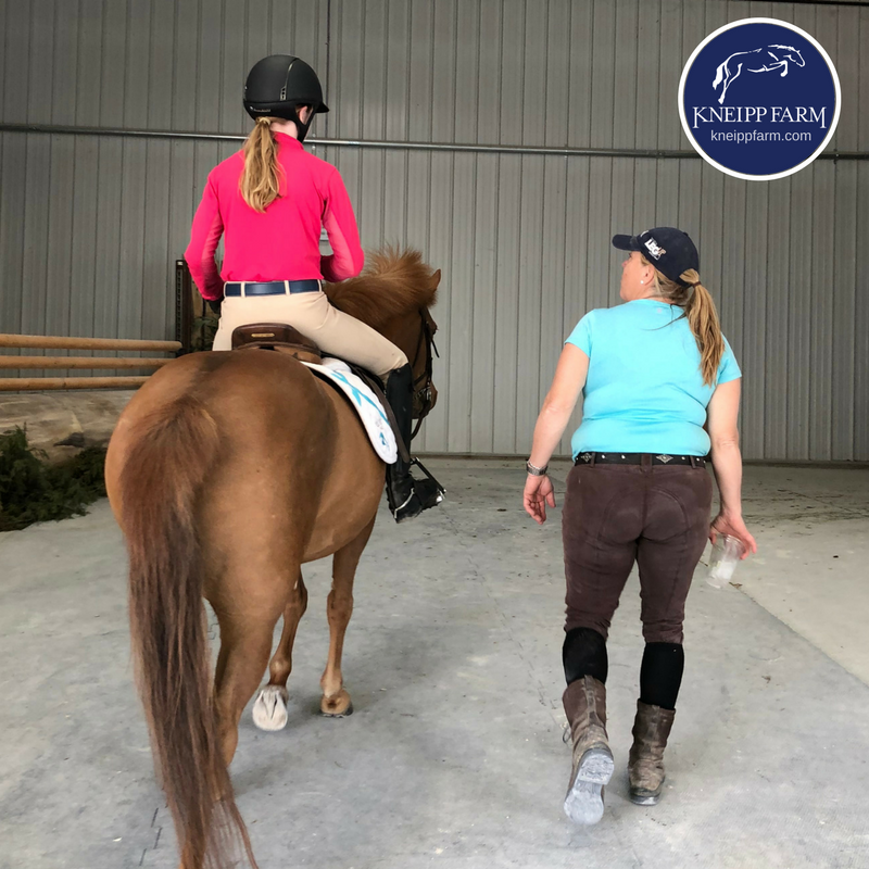 Kneipp Farm: Horse Riding Lessons & Boarding | Xd, 6743 Ragland Rd, Cincinnati, OH 45244, USA | Phone: (513) 374-9028