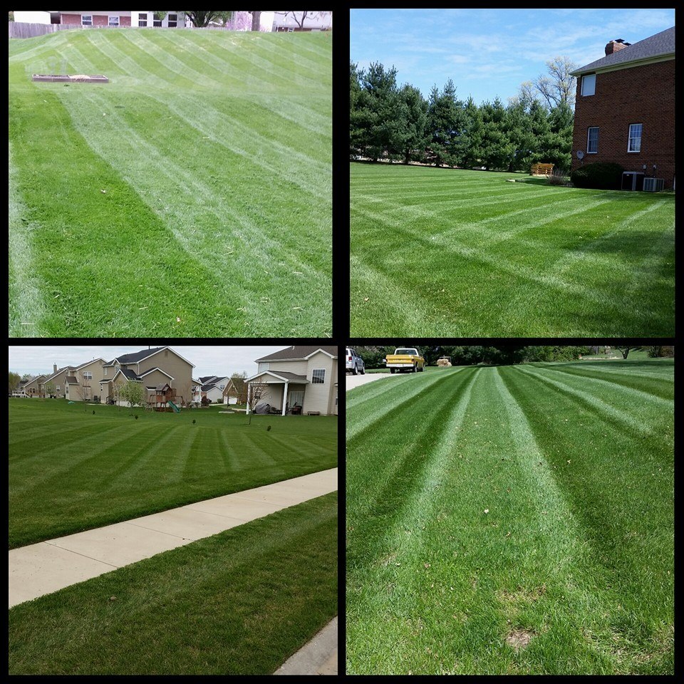 Wades Reliable Lawncare and Landscaping | 3100 Lebanon Ave, Belleville, IL 62221, USA | Phone: (618) 978-1267