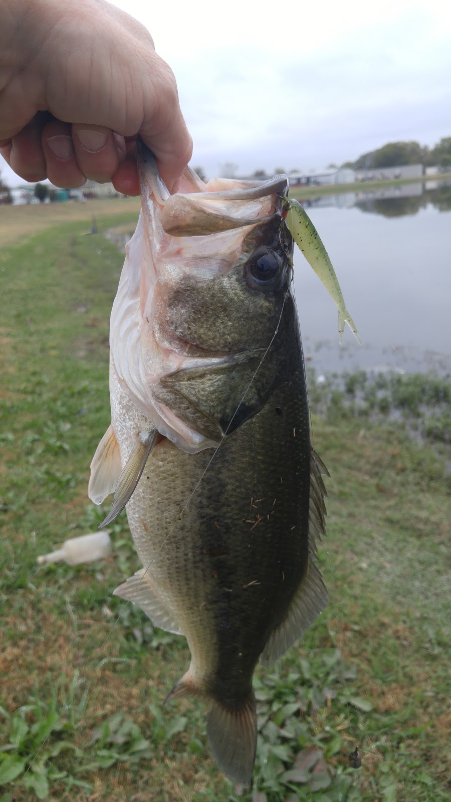 Lake Arlington Ranch MHP | 5137 Big Fork Rd, Fort Worth, TX 76119, USA | Phone: (817) 561-5800