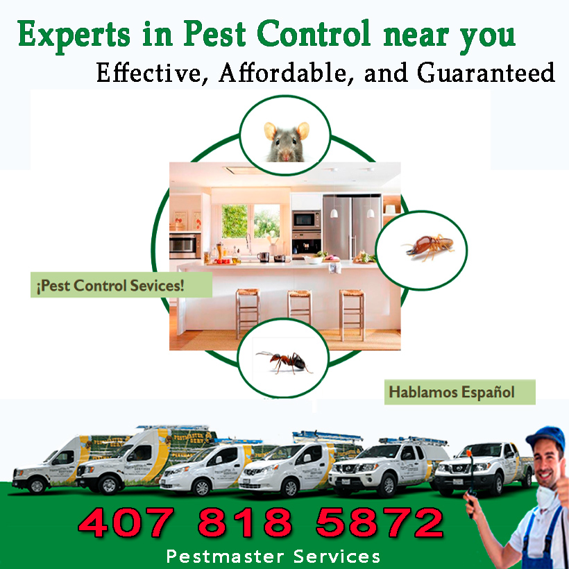 Pestmaster Services | 5567 S Orange Blossom Trail, Intercession City, FL 33848, USA | Phone: (407) 818-5872