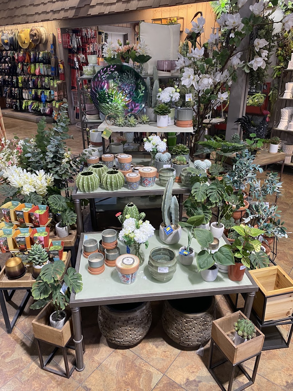 Armstrong Garden Centers | 505 El Camino Real, Tustin, CA 92780, USA | Phone: (714) 542-4145