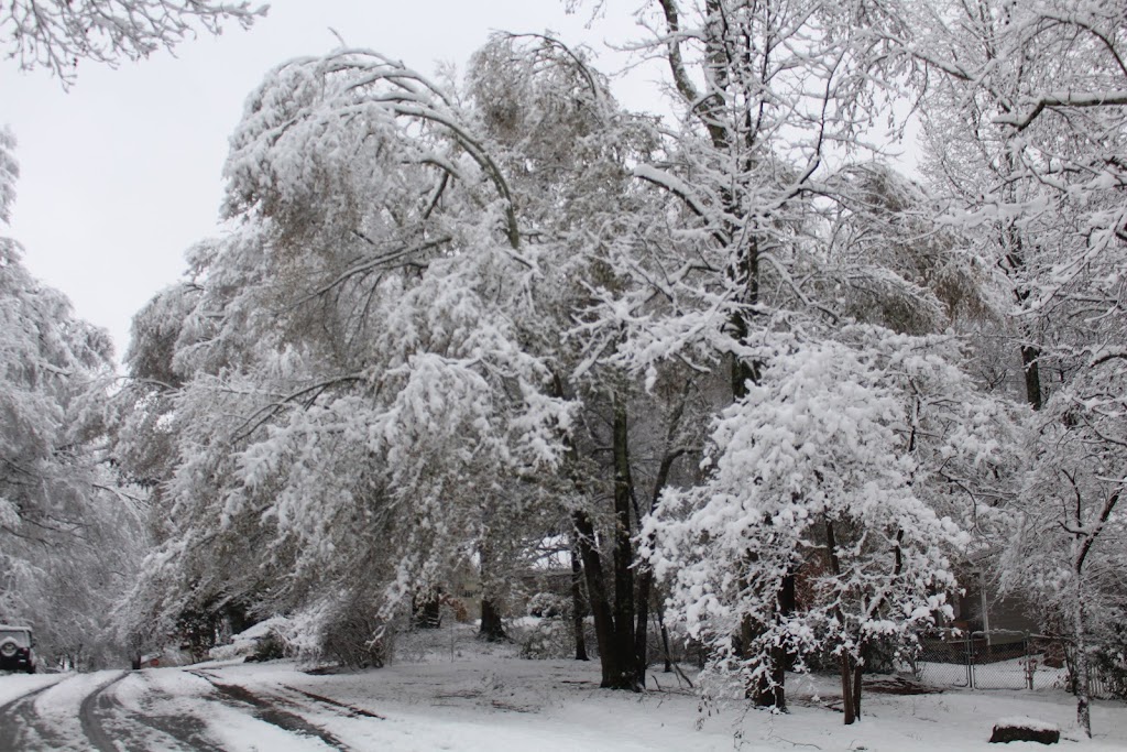 United Quest Park | 605 Hawkins Store Rd NE, Kennesaw, GA 30144, USA | Phone: (770) 220-4089 United Quest Park | 605 Hawkins Store Rd NE, Kennesaw, GA 30144, USA | Phone: (770) 220-4089