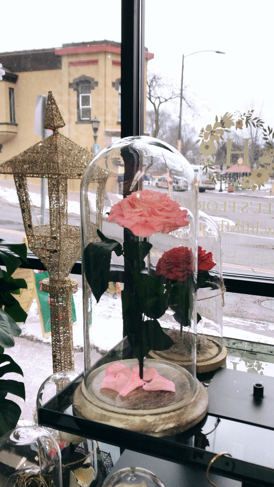 Hills Floral | 168 George St E, St Paul, MN 55107, USA | Phone: (651) 457-7070