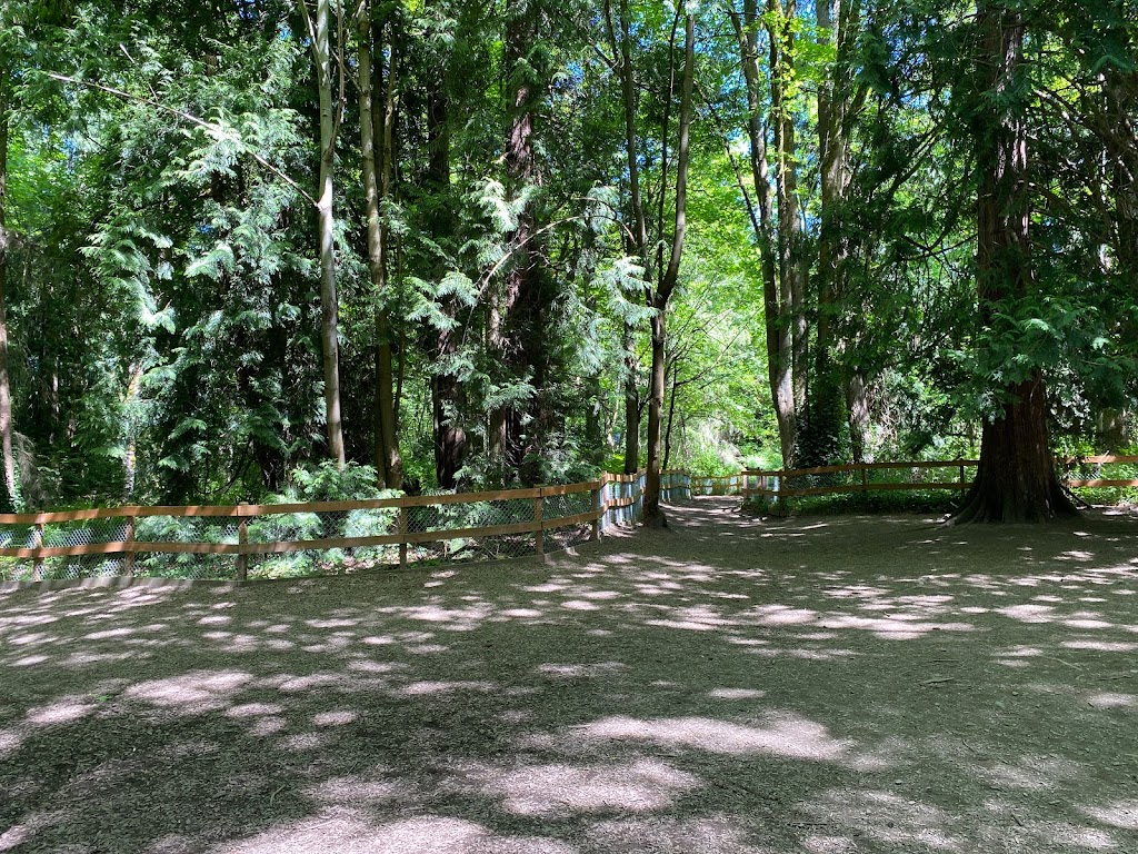 Edith Moulton Off Leash Area | 13634 108th Ave NE, Kirkland, WA 98034, USA | Phone: (425) 587-3300