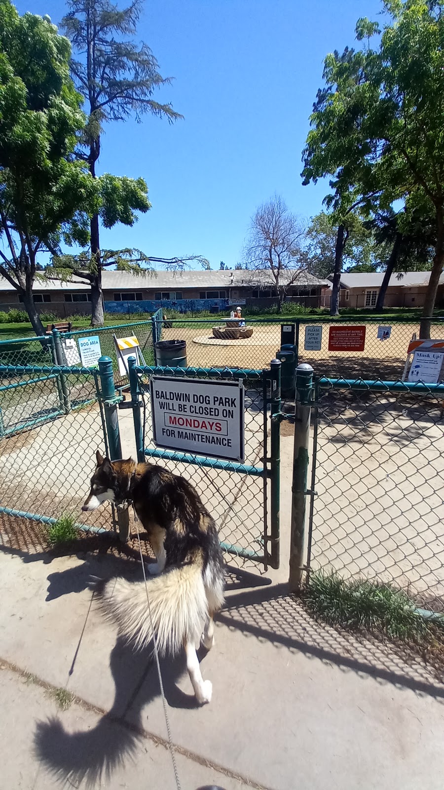 Baldwin Dog Park | 2750 Parkside Cir, Concord, CA 94519, USA | Phone: (925) 671-3404