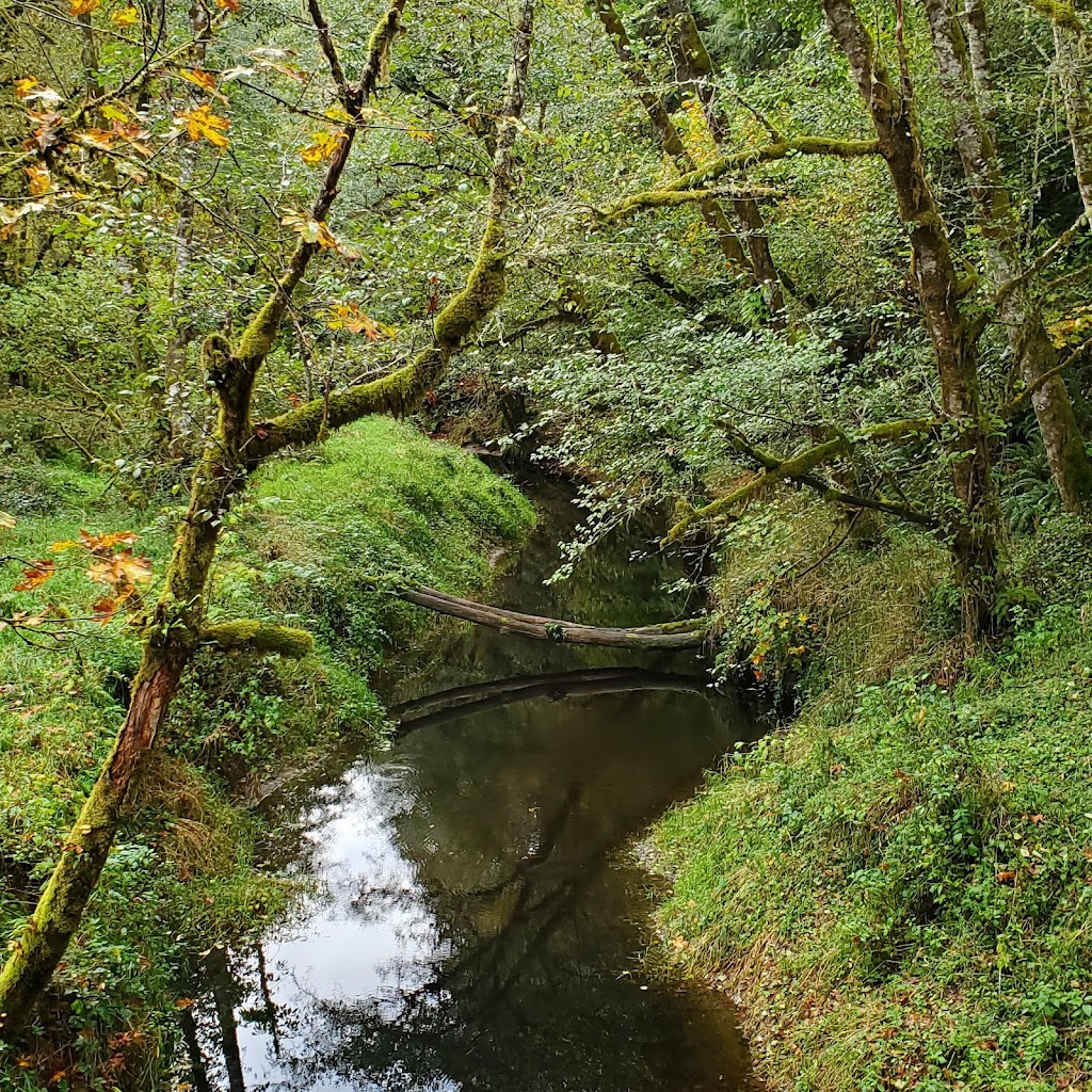 Chapman Landing Trailhead - CZ Trail | Unnamed Road, Scappoose, OR 97056 | Phone: (503) 543-7146