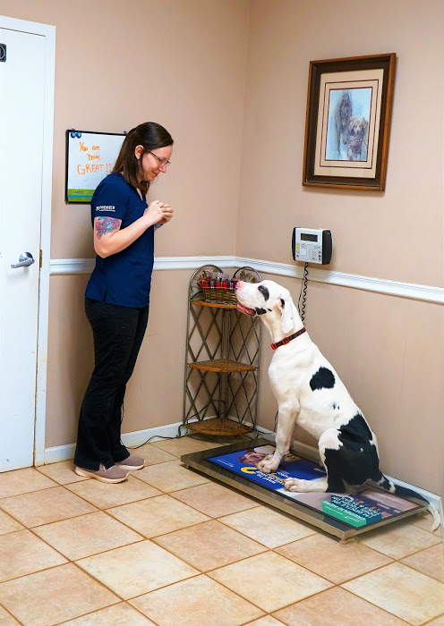 Mill Creek Animal Hospital | 10100 Jones Bridge Rd, Alpharetta, GA 30022, USA | Phone: (770) 740-0330