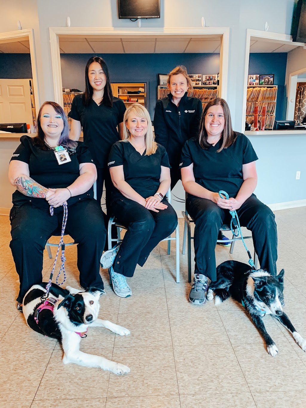 Advanced Animal Care | 2120 Pimlico Dr, Richmond, KY 40475 | Phone: (859) 625-5678