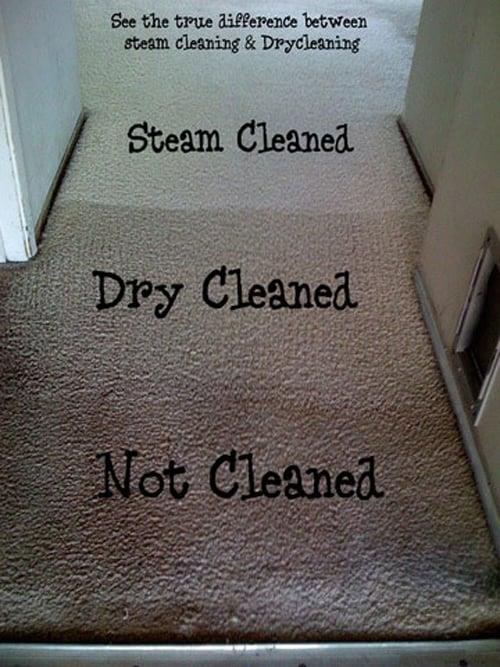 AZ Same Day Service Carpet Care | 8549 E Vía De La Escuela, Scottsdale, AZ 85258, USA | Phone: (602) 488-1568